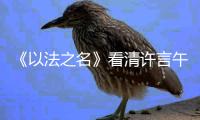 《以法之名》看清许言午的神秘身份，才懂江敏对洪亮的算计有多狠