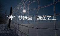 “珠”梦绿茵｜绿茵之上
：金湾区如何打造足球发展生态链？