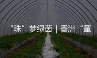“珠”梦绿茵｜香洲“童超”，有模有样！首届幼儿足球趣味赛落幕