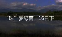 “珠”梦绿茵｜16日下午，珠海市青少年足球锦标赛决赛热血开战