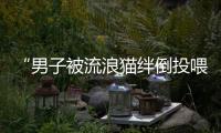 “男子被流浪猫绊倒投喂者赔24万元”案再审宣判：公司承担80%，投喂者20%