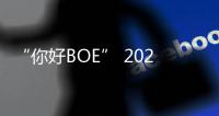 “你好BOE” 2025首站！超酷现场等你来看