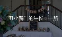 “丑小鸭”的生长�
：一所学校防治青少年抑郁的探索与思考