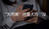 “大而美”还是大而“没”？