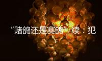 “赌鸽还是赛鸽”续：犯罪事实不清，不起诉组织者