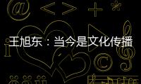 王旭东：当今是文化传播的最好时代