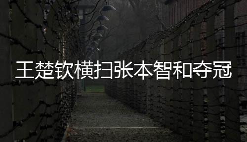 冠赛全方位吃透张本智和