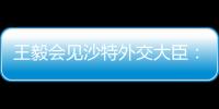 王毅会见沙特外交大臣	：中方反对外部势力打着人权、民主旗号对沙指手画脚