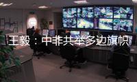 王毅：中非共举多边旗帜，发出正义之声