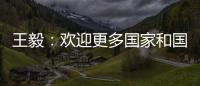 王毅：欢迎更多国家和国际组织加入“支持非洲发展伙伴倡议”