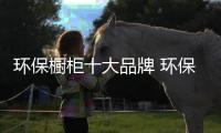 环保橱柜十大品牌 环保橱柜品牌介绍