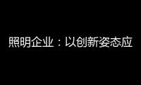 照明企业	：以创新姿态应对逆境 提升附加值
