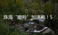 珠海“瞪羚”加速跑！57家企业上榜	，新一代信息技术“领衔”