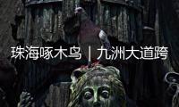 珠海啄木鸟｜九洲大道跨白石路桥路段已整改
	！新增“均可直行 请勿停留”路牌