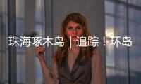 珠海啄木鸟｜追踪
！环岛车辆“打架”
，珠海交警启用新方案→
