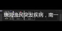快排公司十年历程，霸屏兔 seo 的崛起与坚守