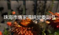 珠海市唐家湾镇党委副书记、镇长钟华接受纪律审查和监察调查