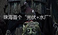 珠海首个“光伏+水厂”并网发电，打造绿色低碳新标杆