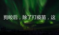 狗咬后，除了打疫苗	，这些问题容易被忽视