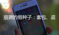 猖獗的假种子：套包�
、盗取	、打假