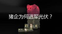 猪企为何进军光伏
？