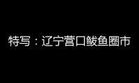 特写：辽宁营口鲅鱼圈市民以积极心态面对疫情