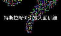 特斯拉降价引发大面积维权：“价格屠刀”究竟砍向了谁？