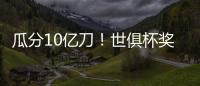 快排公司十年历程，霸屏兔 seo 的崛起与坚守