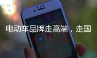 电动车品牌走高端
，走国际化路线