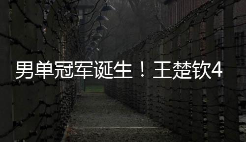 男单到5月份的冠军世乒赛