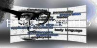 快排公司十年历程，霸屏兔 seo 的崛起与坚守