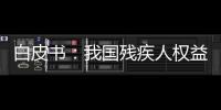 白皮书
：我国残疾人权益保障更加有力