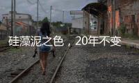 硅藻泥之色�，20年不变心
