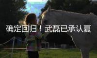确定回归�！武磊已承认夏窗回归上海海港队