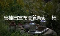 碧桂园宣布高管降薪，杨惠妍莫斌调整后年薪12万元