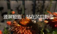 竖屏短剧：站在风口野蛮生长