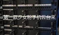 快排公司十年历程，霸屏兔 seo 的崛起与坚守