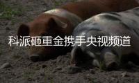 科派砸重金携手央视频道，厨卫市场再掀波澜