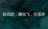 秋风吹�，螨虫飞	，东宝床垫让你免受螨虫干扰