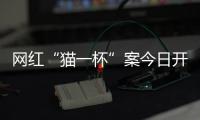 网红“猫一杯”案今日开庭�，曾编造“秦朗巴黎丢寒假作业”被封号