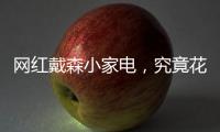 网红戴森小家电，究竟花落谁家？