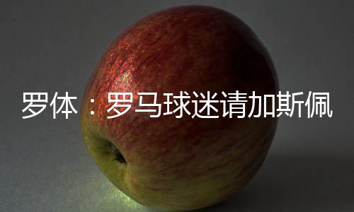 罗体罗马里尼7月13日