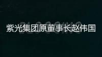 紫光集团原董事长赵伟国贪污、为亲友非法牟利、背信损害上市公司利益案一审开庭