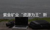 紫金矿业“资源为王”新路径：海底“淘金”浮出水面