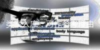 类案入库
	：可作参考理由	，不作裁判依据