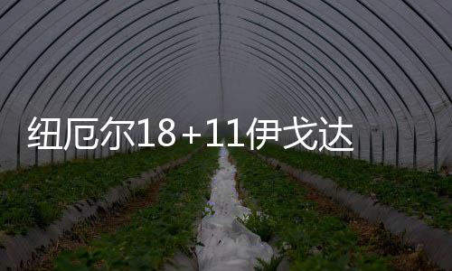 纽厄纽厄尔18分11篮板