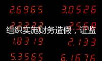 组织实施财务造假
，证监会拟对许家印采取终身证券市场禁入措施