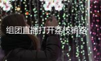 组团直播打开荔枝销路，珠澳“校政企”协作助力农民增收