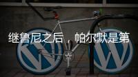 继鲁尼之后，帕尔默是第二位在世俱杯夺得金球奖的英格兰球员