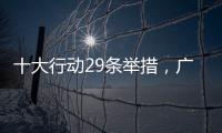 十大行动29条举措	，广东助力高校毕业生就业创业